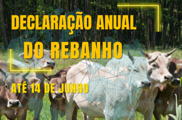 Iniciada a Declaração Anual do Rebanho