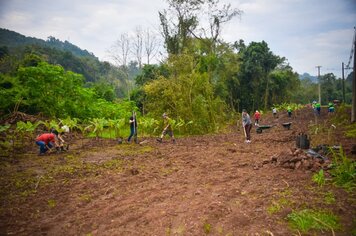 Ação plantou mudas frutíferas em futura praça