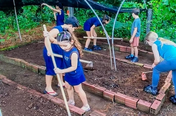 Educação e natureza: espaços escolares mais verdes e seus impactos no desenvolvimento e na saúde