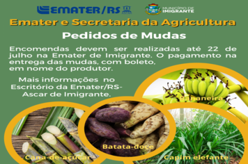 Encomendas de mudas