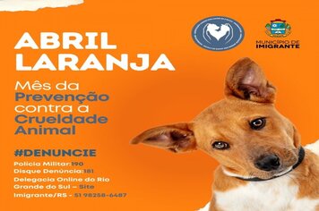 Abril laranja - mês de prevenção contra a crueldade animal