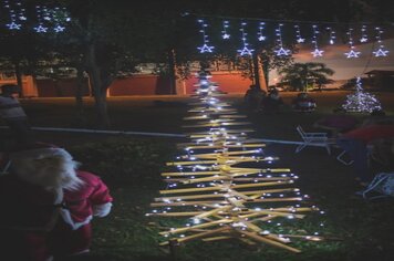 Empresas, entidades e comunidade podem adotar árvore de Natal em Imigrante