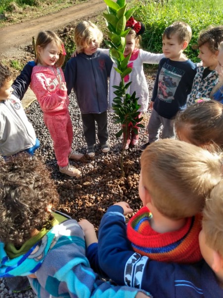 Alunos realizam diversas ações voltadas ao Dia do Meio Ambiente